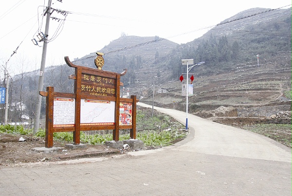 太阳能路灯扶贫到村