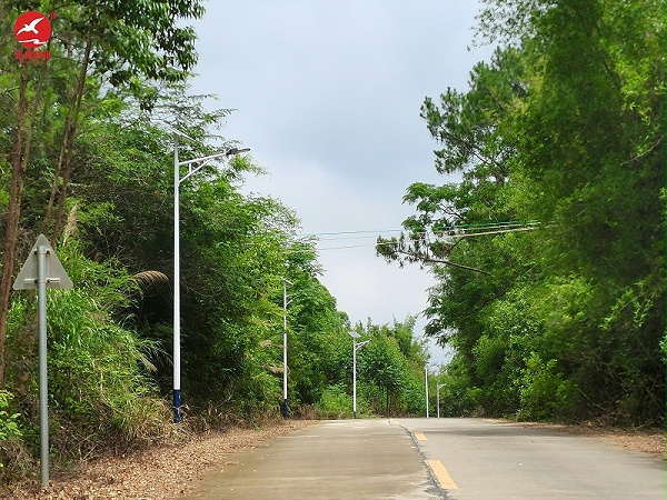 江门恩平太阳能路灯