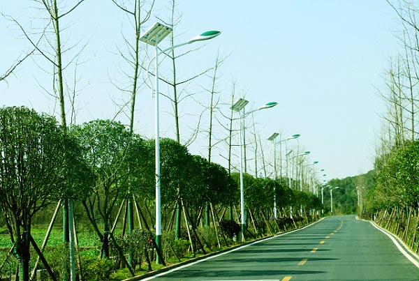 乡村太阳能路灯