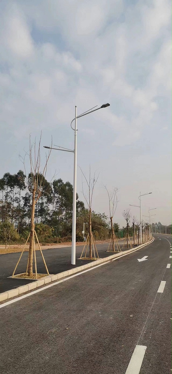 广东-惠州-惠城区江滨路市电路灯