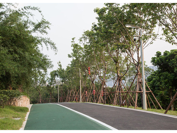 公园小区智慧路灯