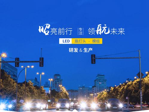 广东LED路灯模组厂家