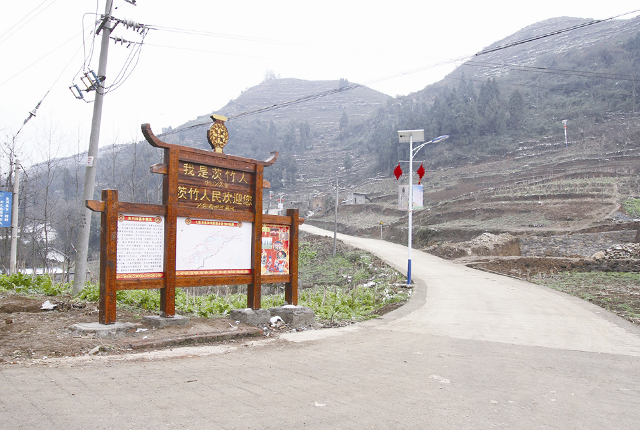 太阳能路灯扶贫到村