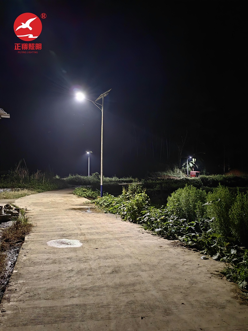 广西平果市太阳能路灯