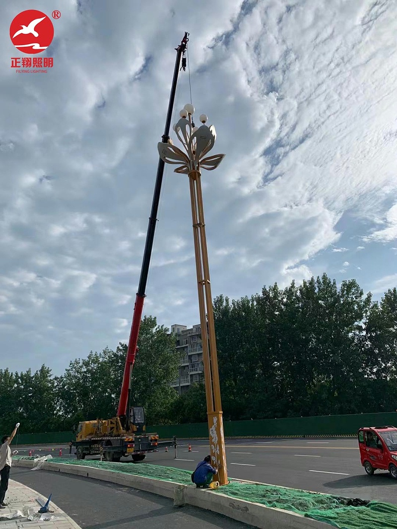 重庆市政道路玉兰灯安装