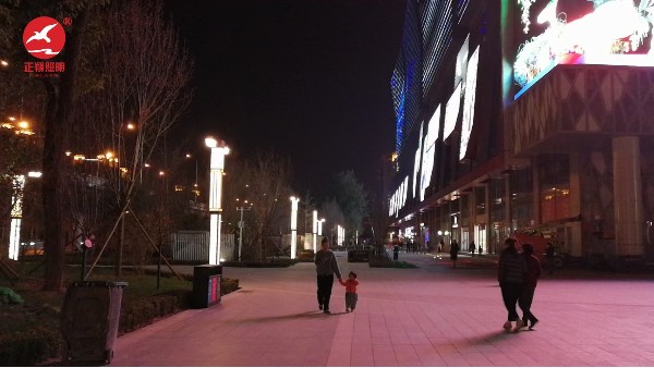 北京冬奥会景观灯安装