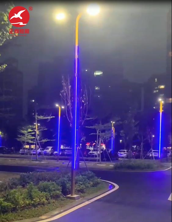 江门蓬江区滨海大道LED景观灯安装