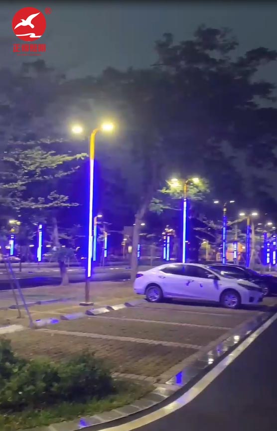 江门蓬江区滨海大道LED景观灯安装