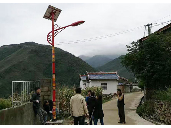 农村特色太阳能路灯