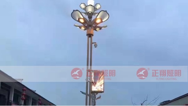 四川宜宾小区景观智慧路灯安装