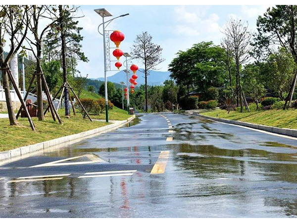 新农村太阳能路灯厂家