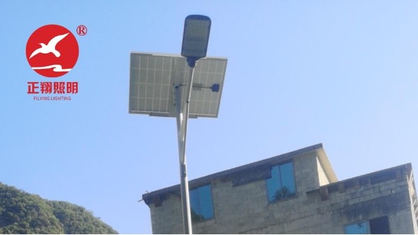 广西河池都安太阳能路灯工程案例