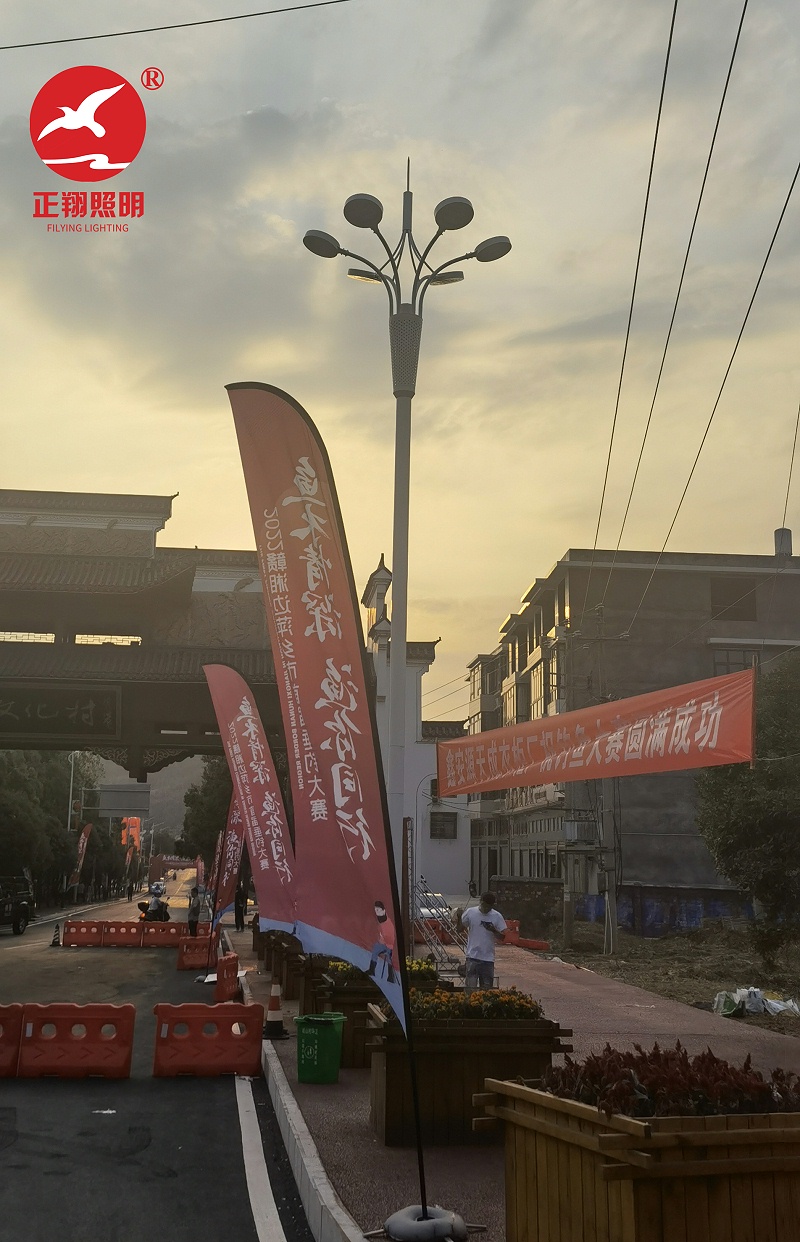 湖南道路景观灯安装 湖南道路景观灯安装